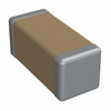 1808Y2500181GFR Image